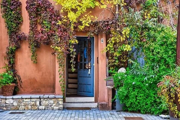 A doorway with internal stairs, surrounded by flowering vines.